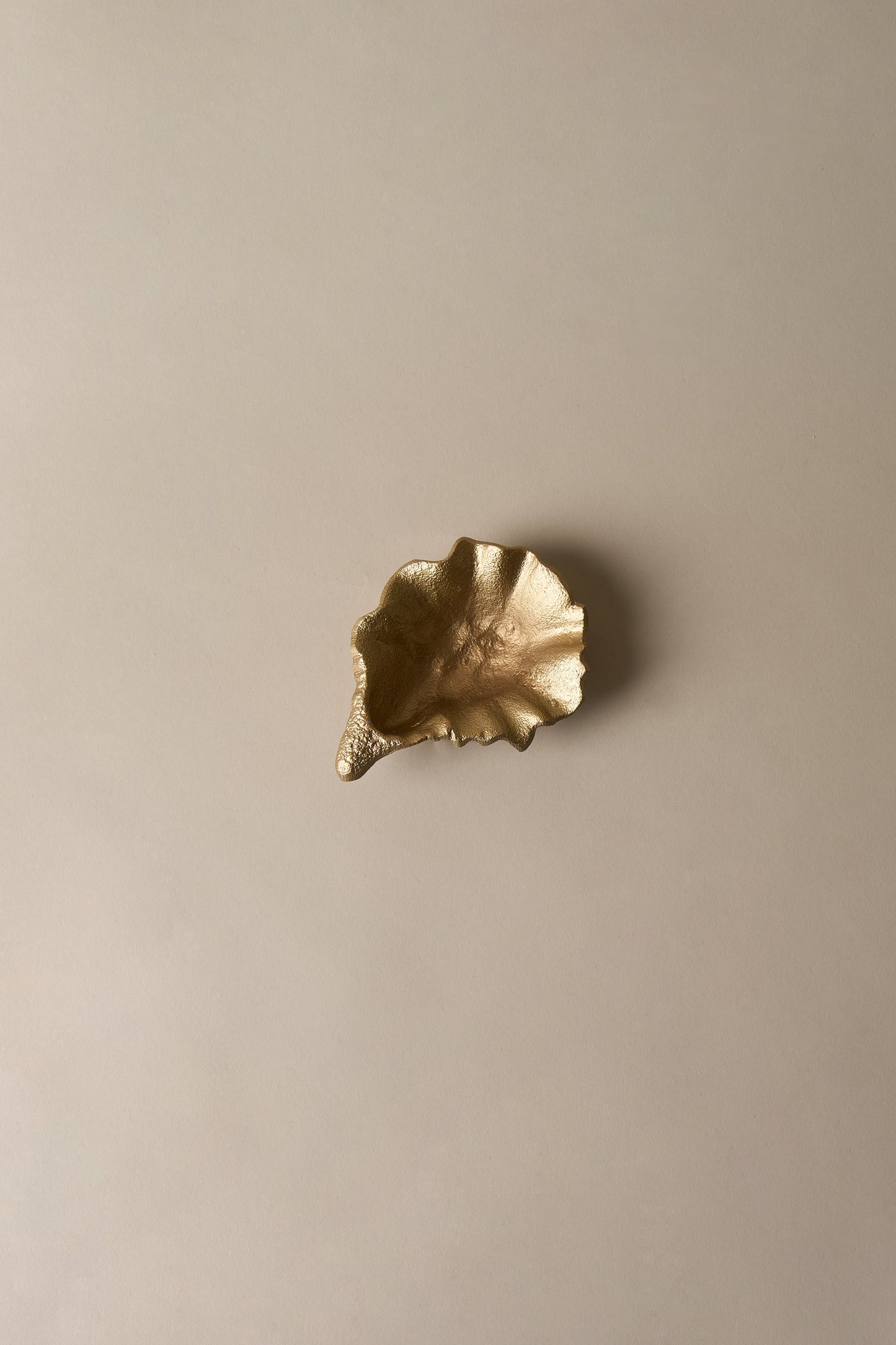 OYSTER SHELL DISH